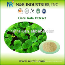 Centella asiatica extrait Asiaticoside 10%